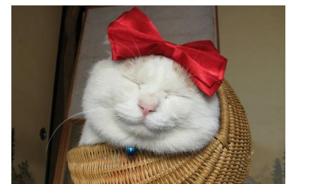 心理测试:什么样的颜色,是你的幸运色? 心理测试:什么样的颜色,是你的幸运色?