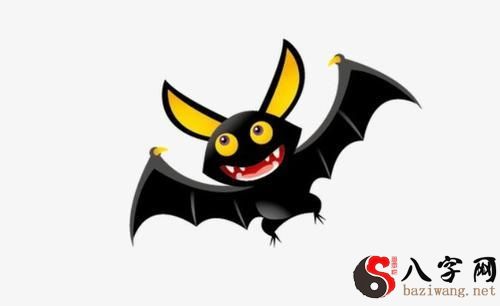 梦见蝙蝠飞到身上