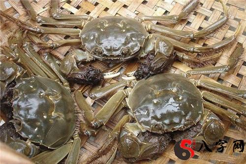 梦见抓很多活螃蟹