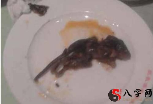 梦见杀老鼠见血