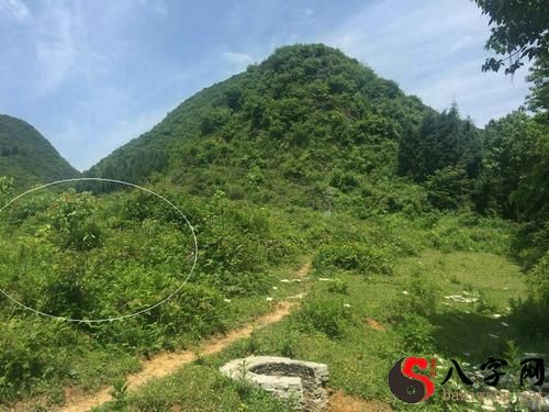 梦见风水先生看风水