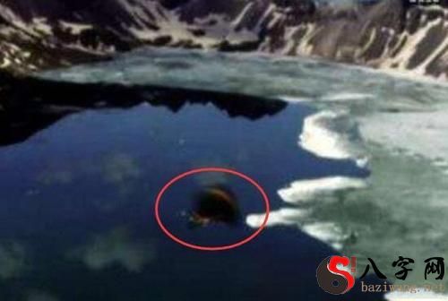 梦见水怪被烧死