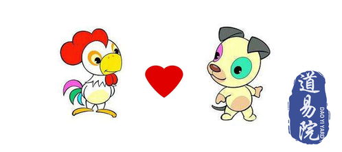 属鸡的和属蛇的